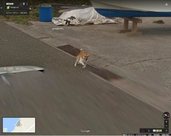 ウケた画像w：コメント2494