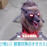 害獣対策ロボットが「怖すぎる」と話題、切り札に“人の声”も