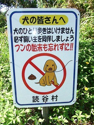 ウケた画像w：コメント2675