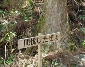 ウケた画像w：コメント2716