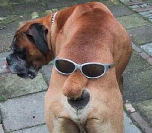 ウケた画像w：コメント2765