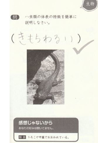 ウケた画像w：コメント1217