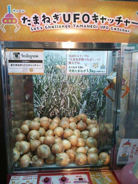 ウケた画像w：コメント1257