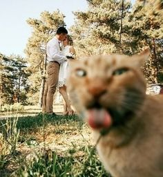 ウケた画像w：コメント2819