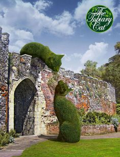 ウケた画像w：コメント2807