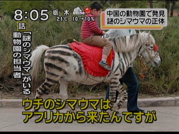 ウケた画像w：コメント1389