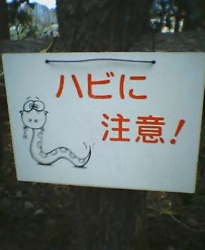 ウケた画像w：コメント1654