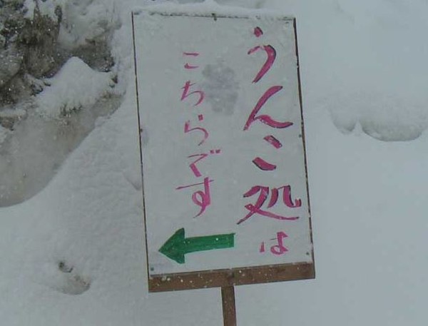 ウケた画像w：コメント1829