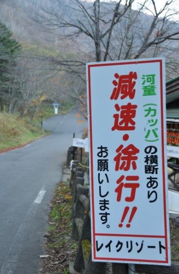 ウケた画像w：コメント1703