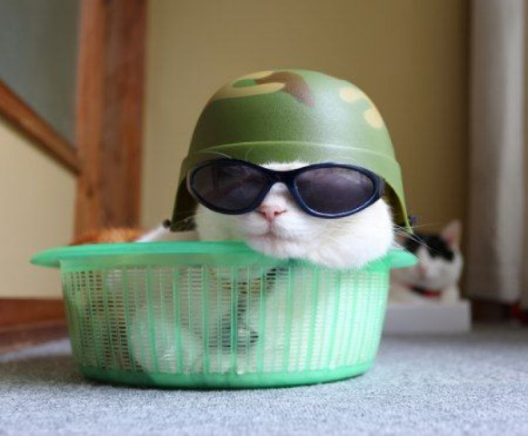 ウケた画像w：コメント1841