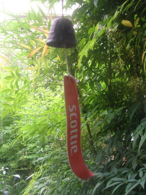 ウケた画像w：コメント5367