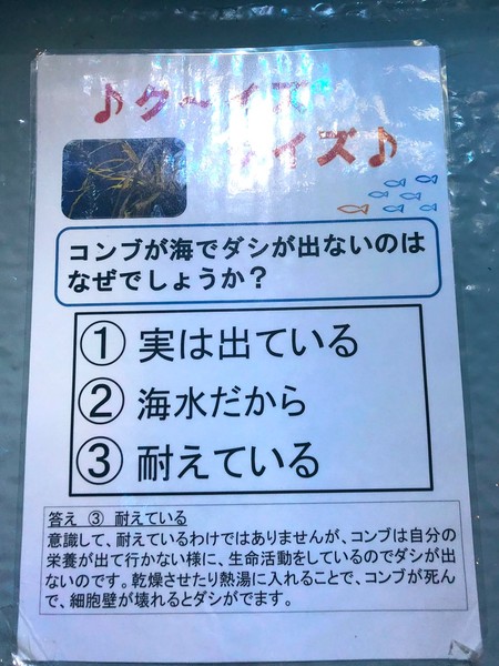 ウケた画像w：コメント5425