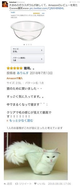 ウケた画像w：コメント5514