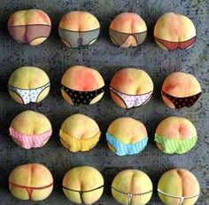 ウケた画像w：コメント5295