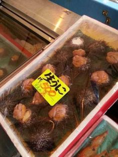 ウケた画像w：コメント5293