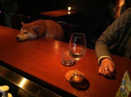 ウケた画像w：コメント5608