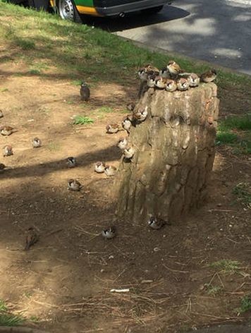 ウケた画像w：コメント5648