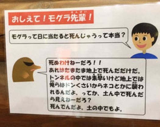 ウケた画像w：コメント5659