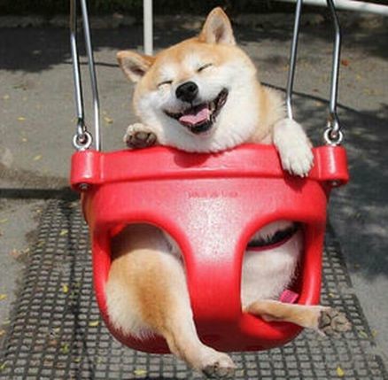 ウケた画像w：コメント5690