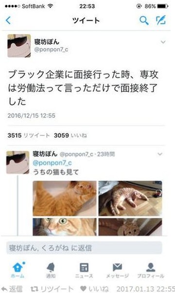 ウケた画像w：コメント5701