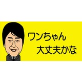 公園で散歩中のトイ・プードル･･･娘の手を噛んだと父親が連れ去り！飼い主は「捜して」と呼びかけ
