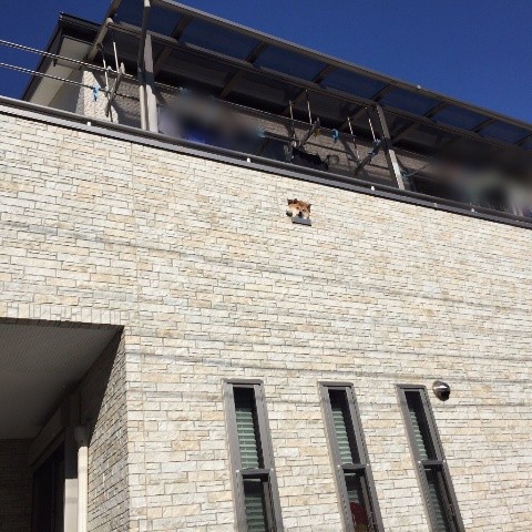 ウケた画像w：コメント5859