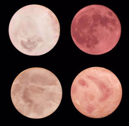 ウケた画像w：コメント5895