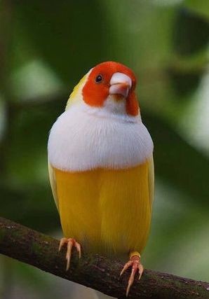 ウケた画像w：コメント5945