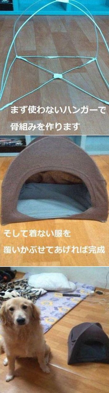 ウケた画像w：コメント5946