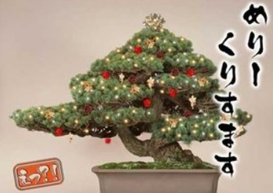 ウケた画像w：コメント5979