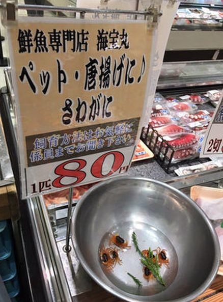 ウケた画像w：コメント5940