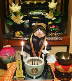 ウケた画像w：コメント5745