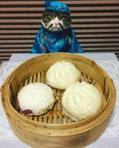 ウケた画像w：コメント5744