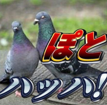 ウケた画像w：コメント6043