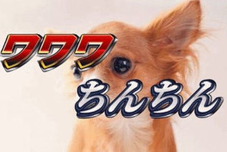 ウケた画像w：コメント6039