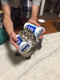 ウケた画像w：コメント6034