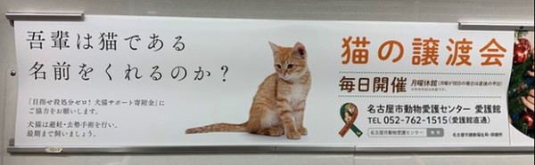 ウケた画像w：コメント6054