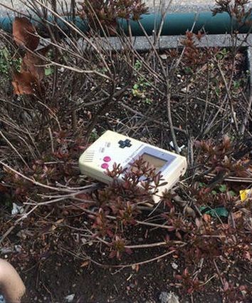 ウケた画像w：コメント6108