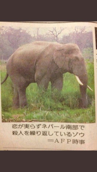 武井壮、「結婚相手は若ければ若いほどいい」と主張し視聴者ドン引き：コメント185