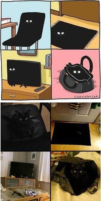 ウケた画像w：コメント6193