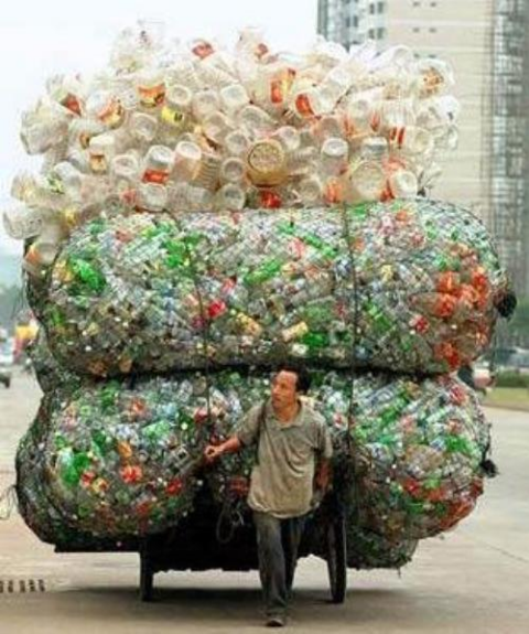 ウケた画像w：コメント6242