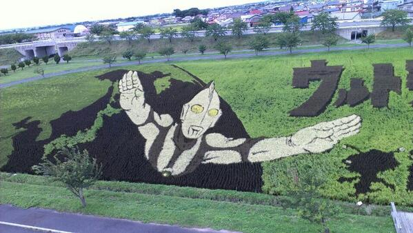 ウケた画像w：コメント5988