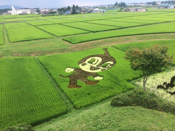 ウケた画像w：コメント5993