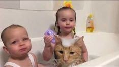 ウケた画像w：コメント2824