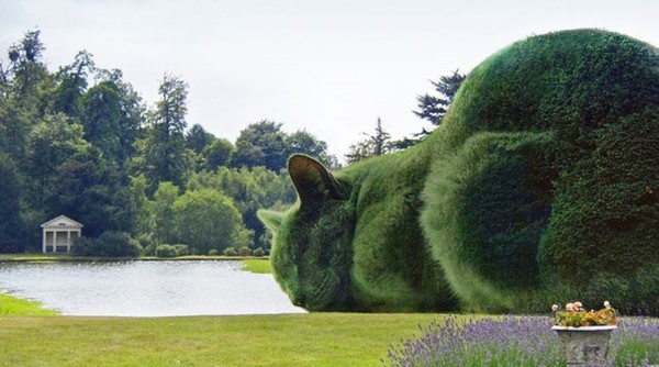 ウケた画像w：コメント3054