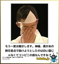 ウケた画像w：コメント3040