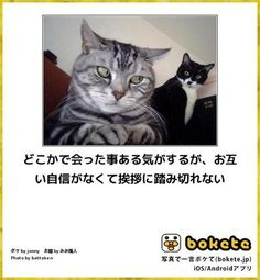 ウケた画像w：コメント3069