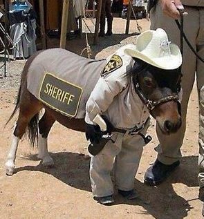 ウケた画像w：コメント3082