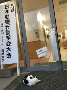 ウケた画像w：コメント3116