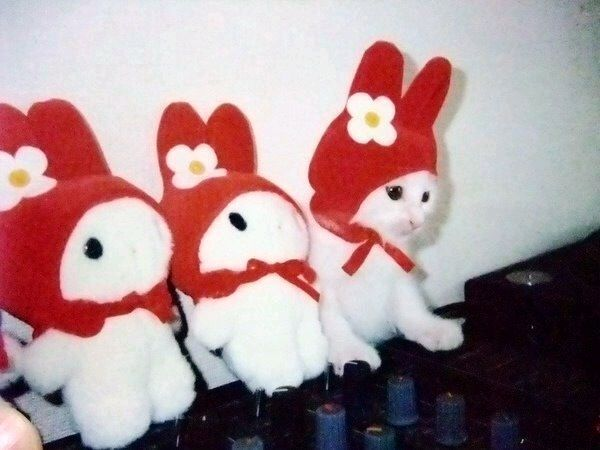 ウケた画像w：コメント3119